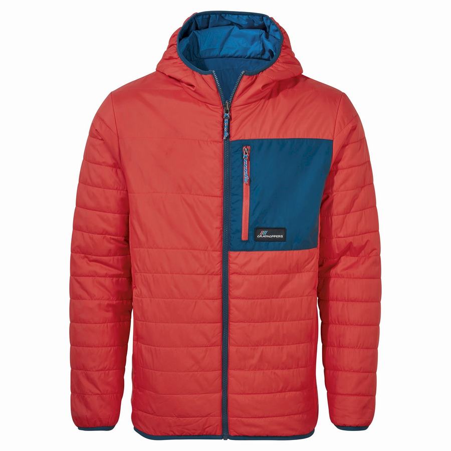 Men's Craghoppers Cameo CompressLite Hooded Jackets Orange Red | KZG540CG