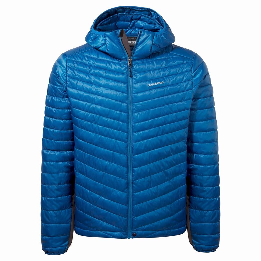Men's Craghoppers ExpoLite Insulated Hooded Jackets Blue | ZOR4680NE