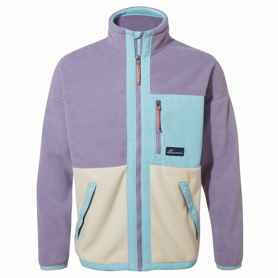 Men's Craghoppers Spindle Sweaters Purple | EVW3064HB