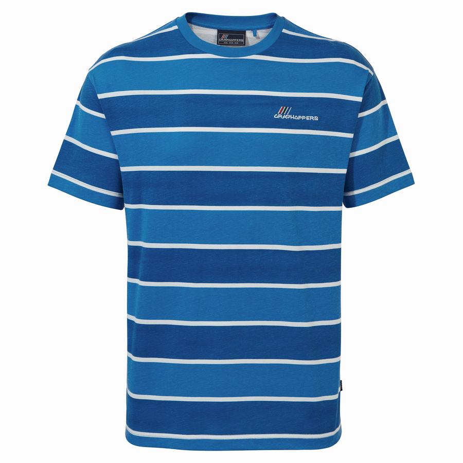 Men's Craghoppers Ventura Short Sleeved T-Shirts Blue Stripes | GDY6335TS