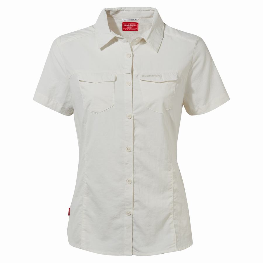 Women's Craghoppers NosiLife Adventure II Short Sleeved Shirts Light Blue | DMR4885IZ