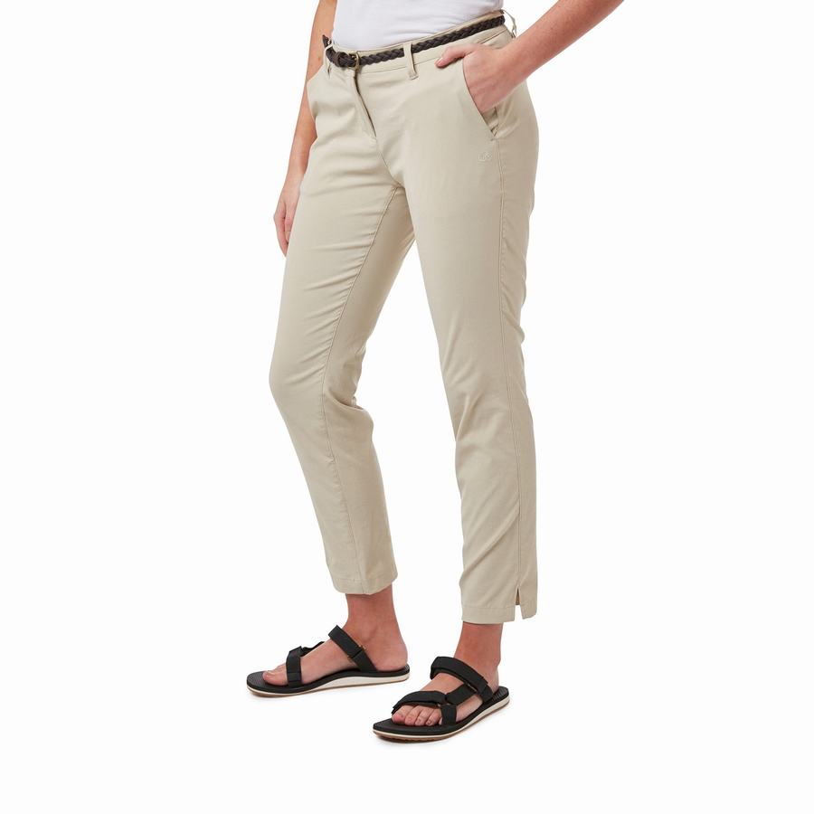 Women's Craghoppers NosiLife Briar Trousers Brown | DID7889IF