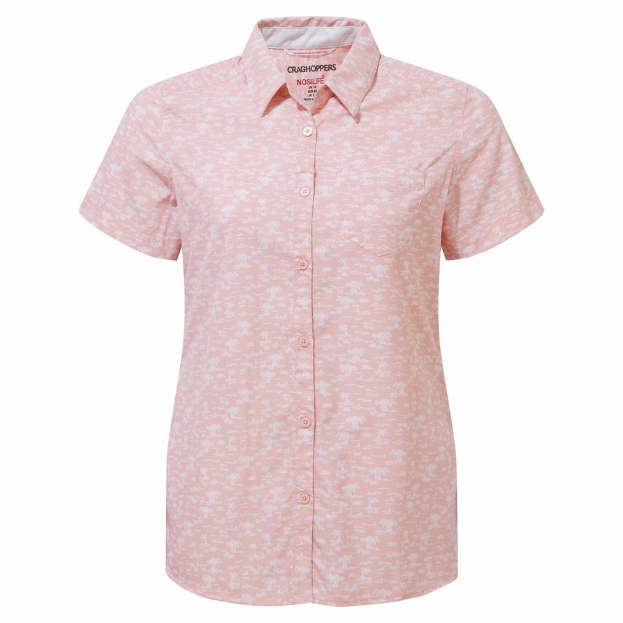 Women's Craghoppers NosiLife Tillia Short Sleeved Shirts Pink | YFW2996QS