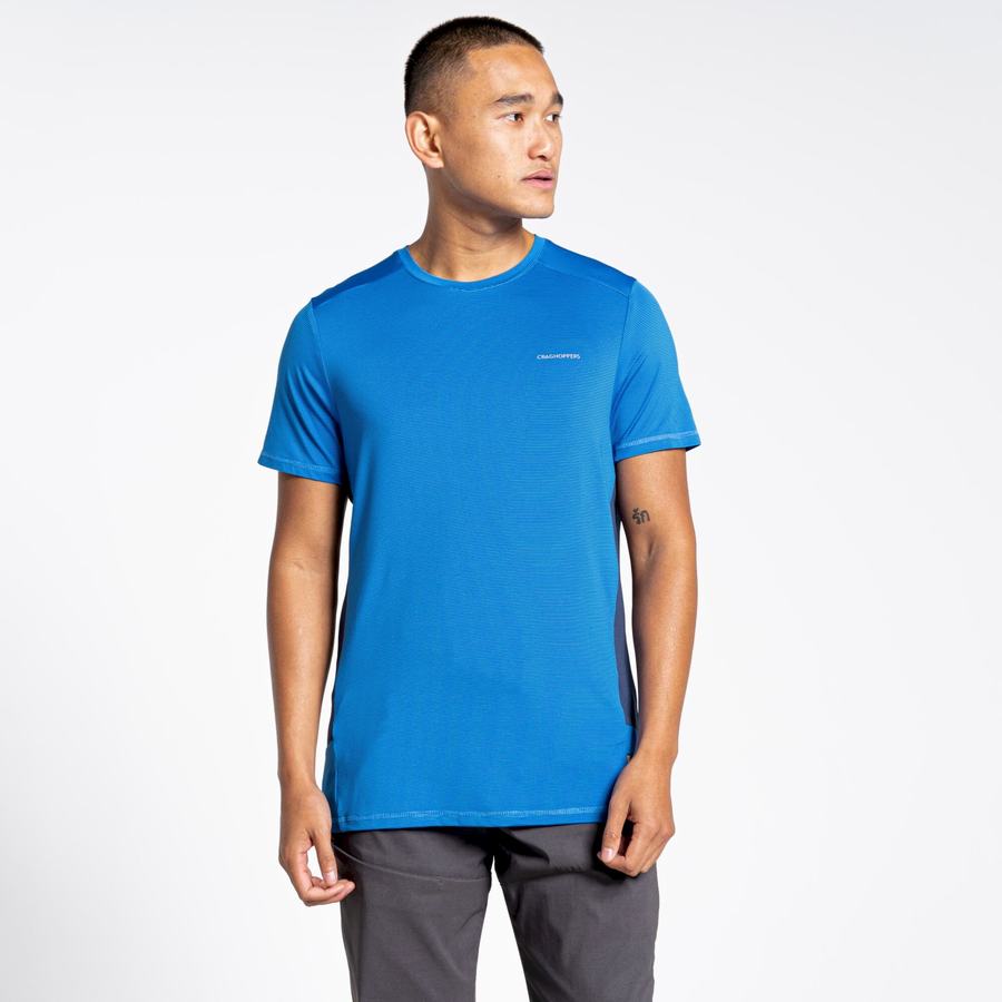 Men's Craghoppers Atmos Short Sleeved T-Shirts Blue | RIK8537QV