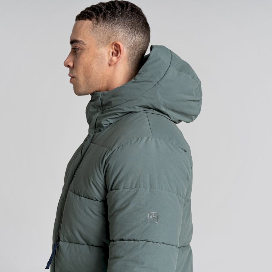 Men's Craghoppers Dunbeath Insulated Hooded Jackets Green | GDJ4732NO