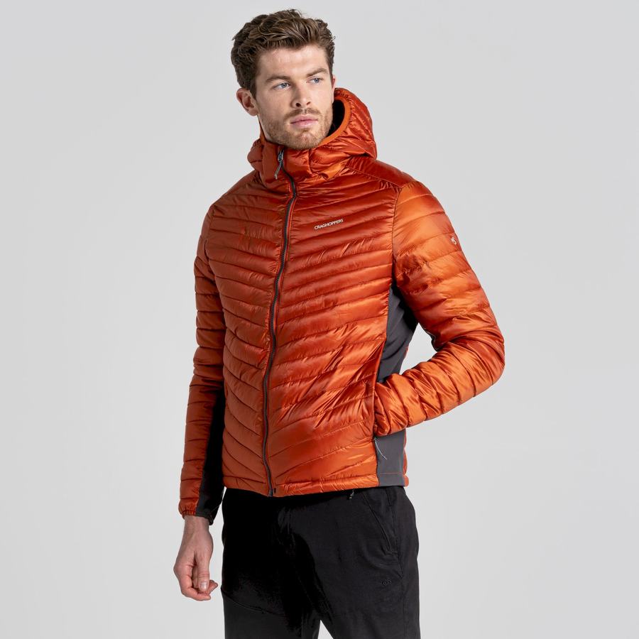 Men's Craghoppers ExpoLite Insulated Hooded Jackets Orange | VVG8692NT