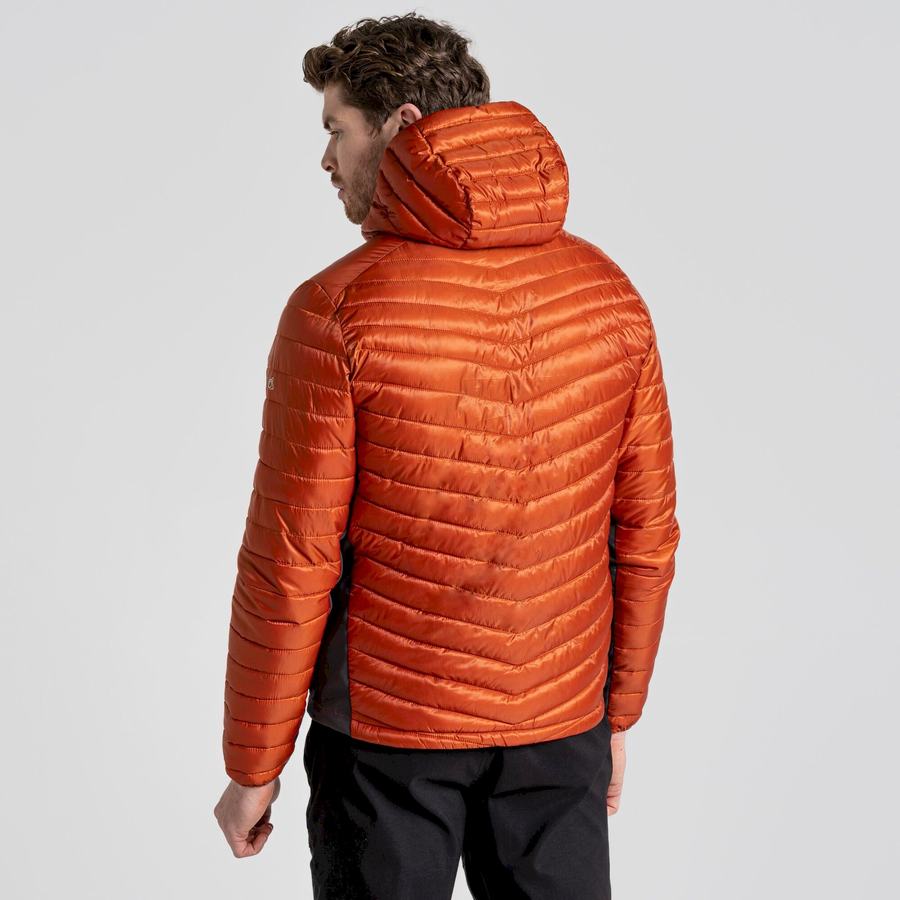 Men's Craghoppers ExpoLite Insulated Hooded Jackets Orange | VVG8692NT