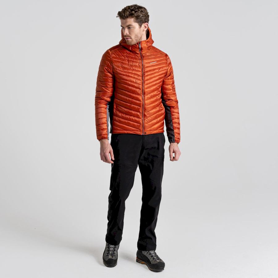 Men's Craghoppers ExpoLite Insulated Hooded Jackets Orange | VVG8692NT