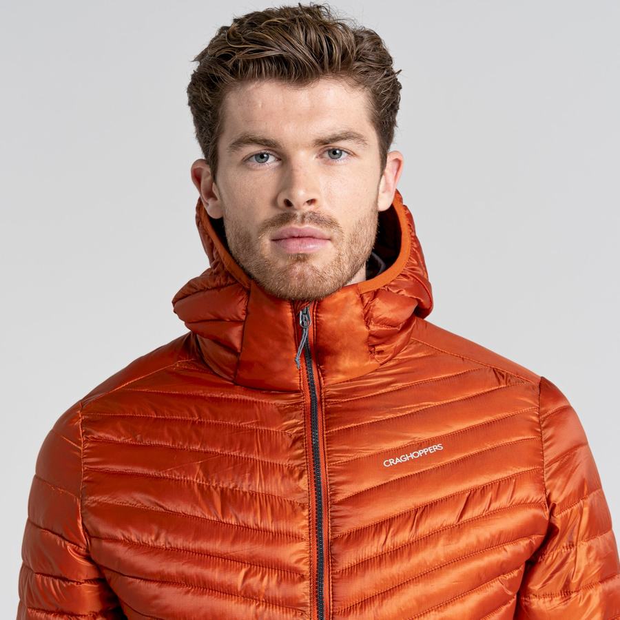 Men's Craghoppers ExpoLite Insulated Hooded Jackets Orange | VVG8692NT