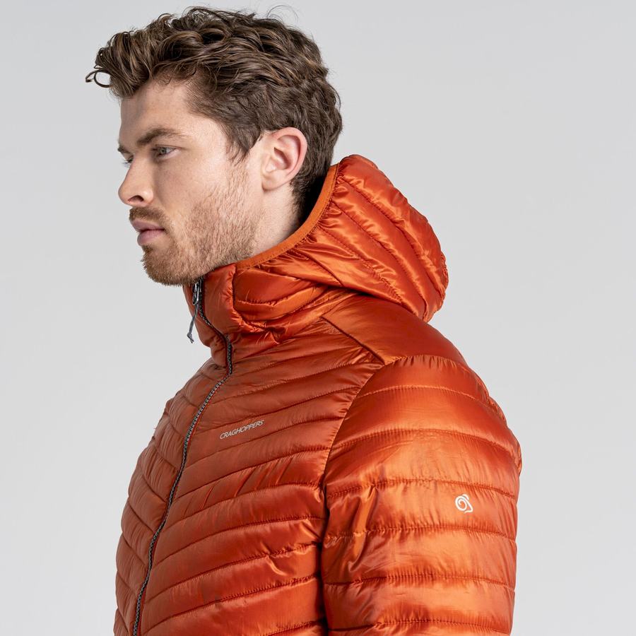 Men's Craghoppers ExpoLite Insulated Hooded Jackets Orange | VVG8692NT