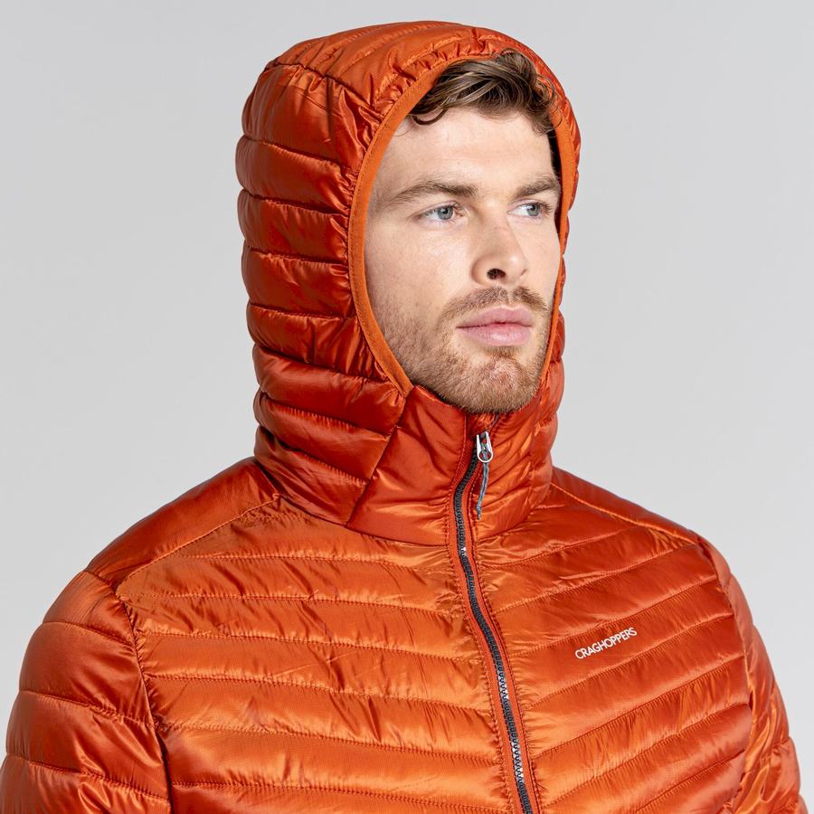 Men's Craghoppers ExpoLite Insulated Hooded Jackets Orange | VVG8692NT