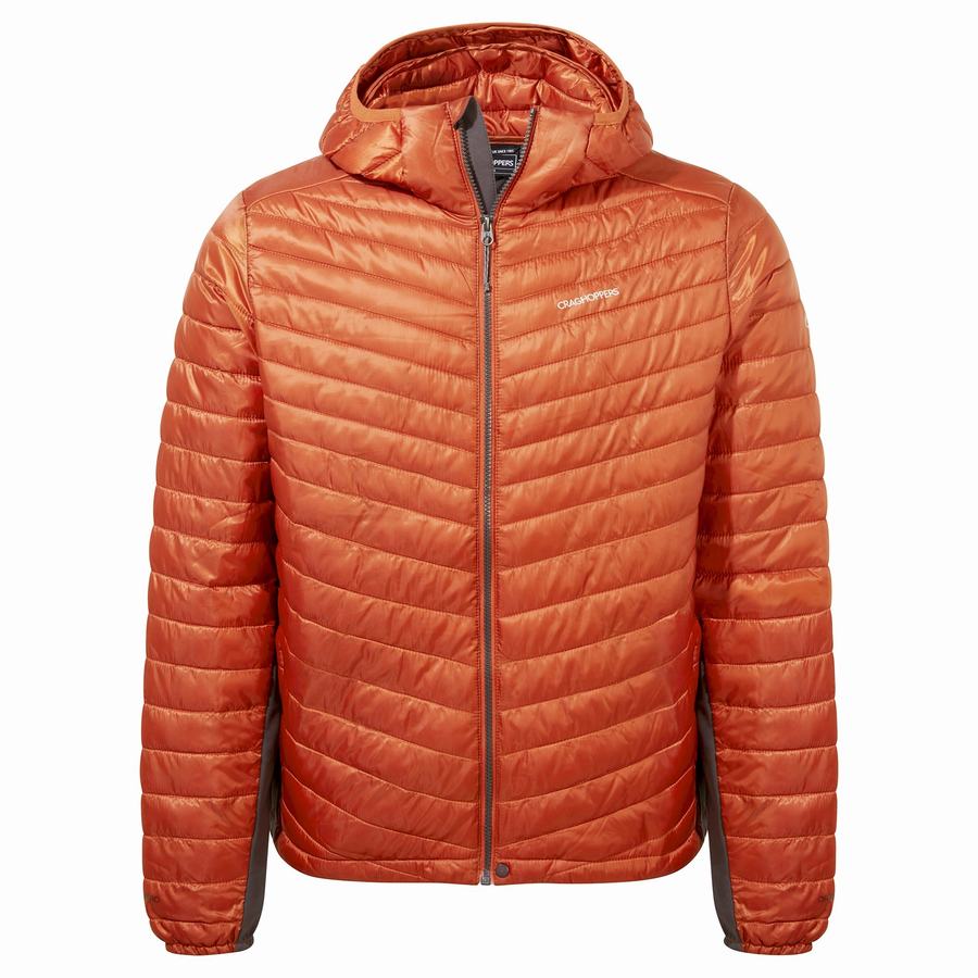 Men\'s Craghoppers ExpoLite Insulated Hooded Jackets Orange | VVG8692NT