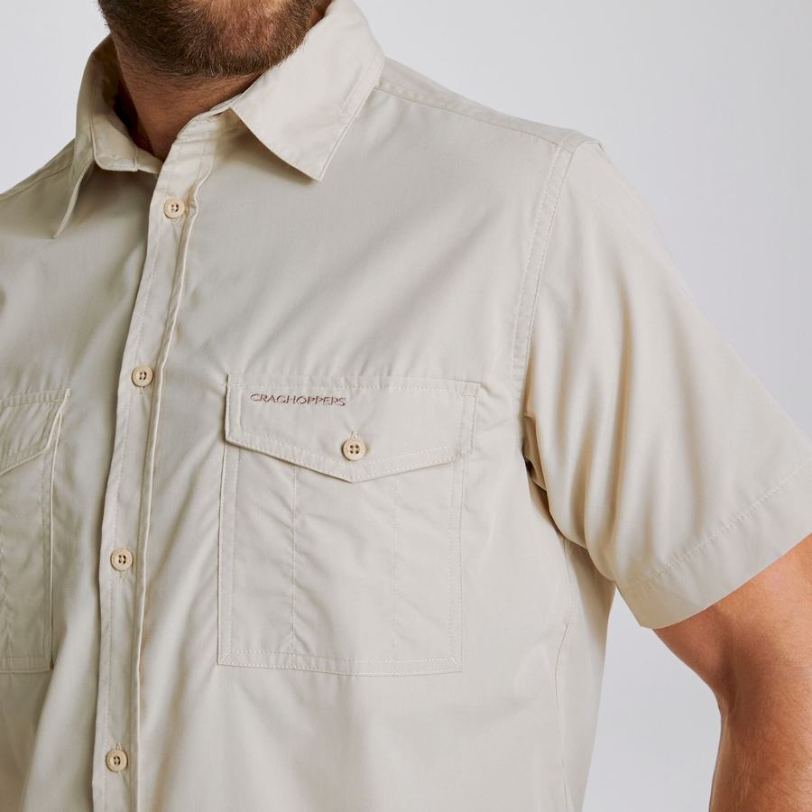 Men's Craghoppers Kiwi Short Sleeved Shirts Beige | HPX1431TZ