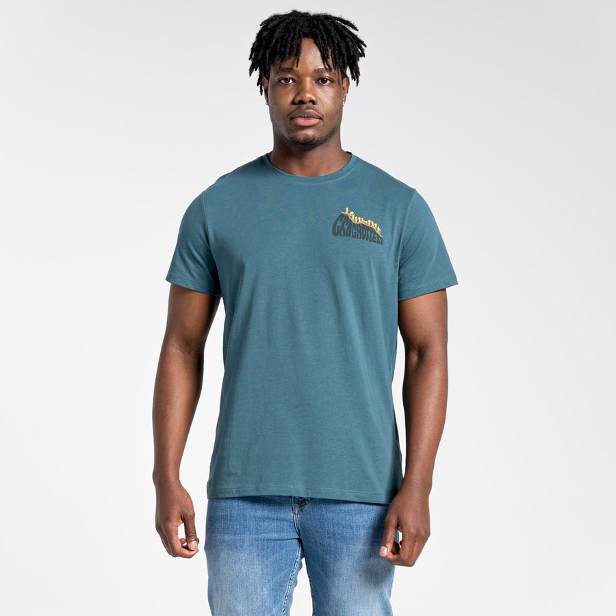 Men's Craghoppers Lugo Short Sleeved T-Shirts Green | HZK5176RD