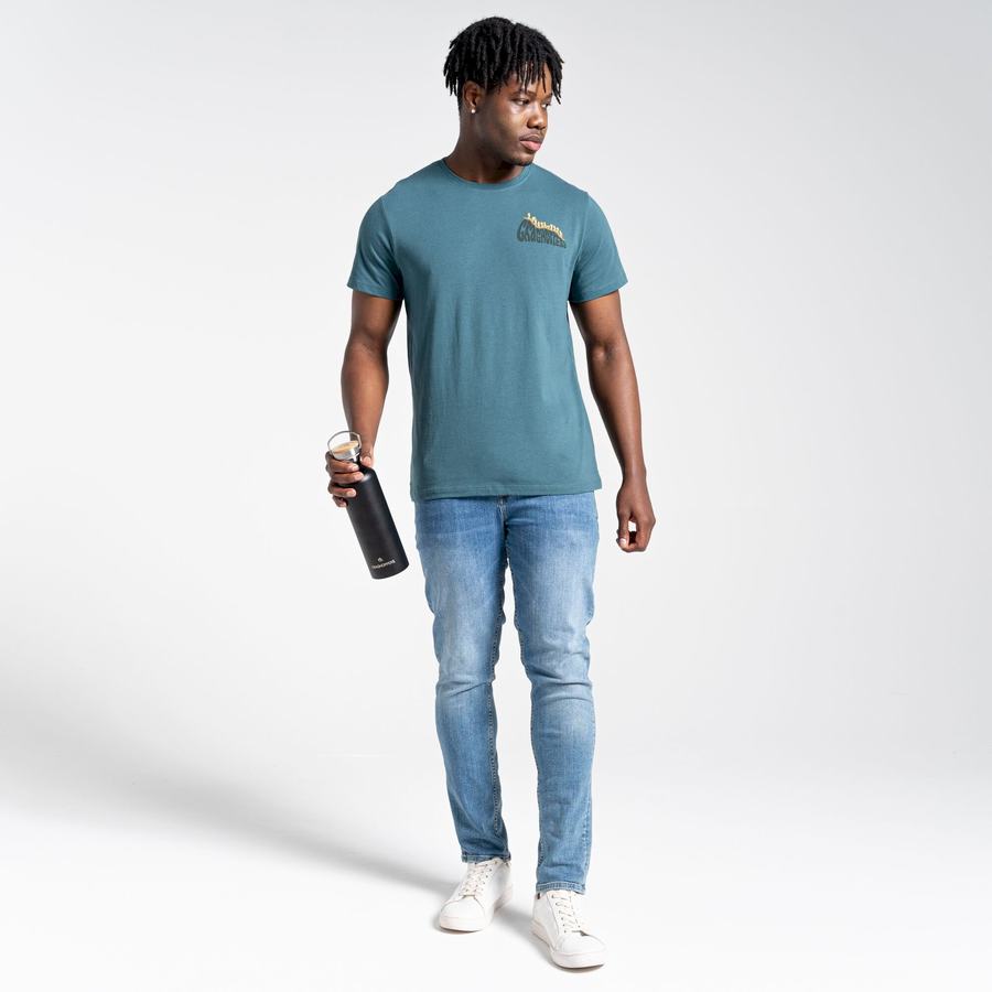 Men's Craghoppers Lugo Short Sleeved T-Shirts Green | HZK5176RD
