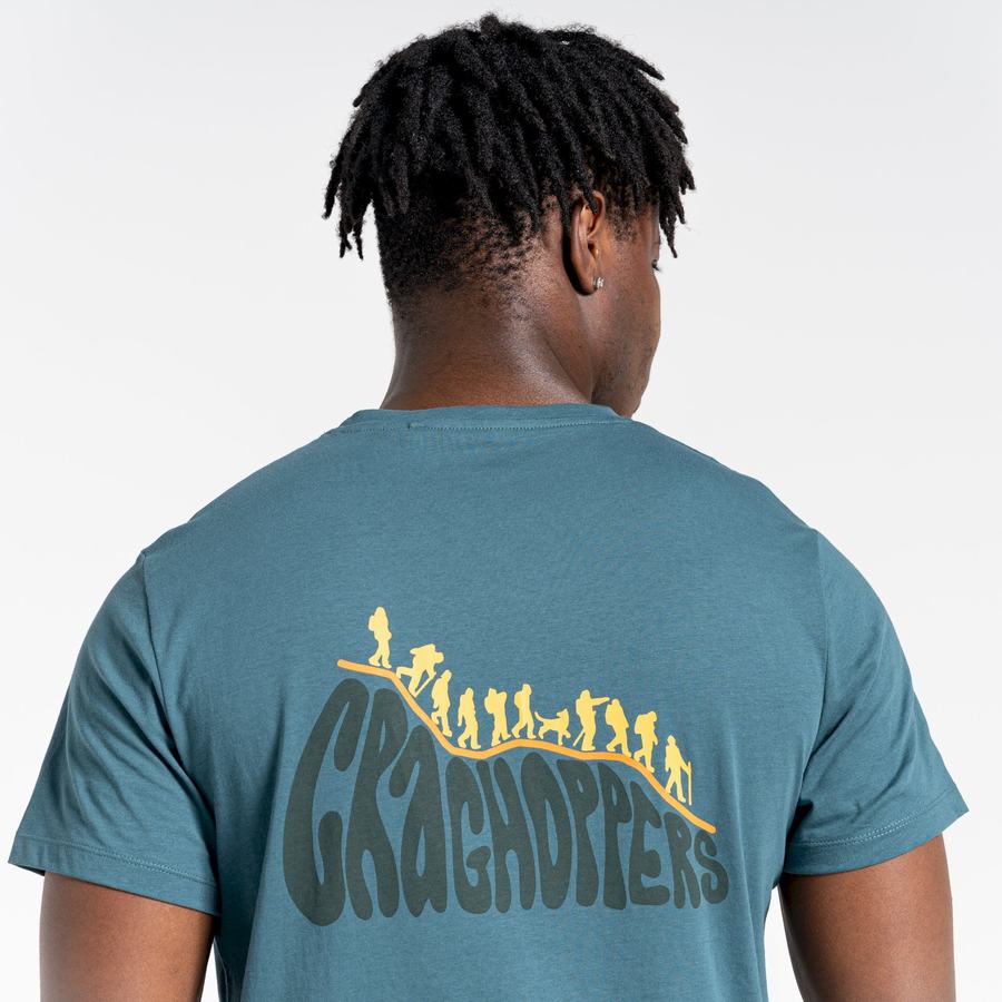 Men's Craghoppers Lugo Short Sleeved T-Shirts Green | HZK5176RD