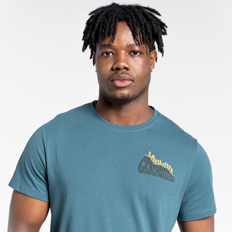 Men's Craghoppers Lugo Short Sleeved T-Shirts Green | HZK5176RD