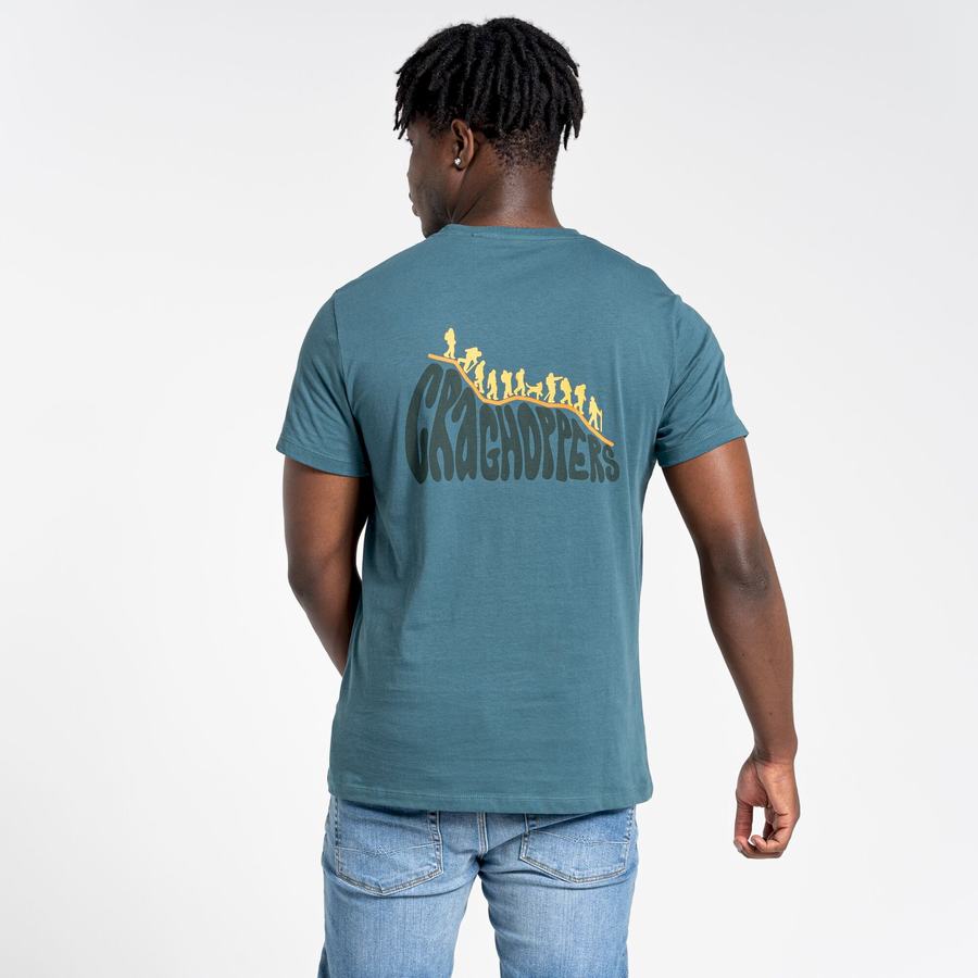 Men's Craghoppers Lugo Short Sleeved T-Shirts Green | HZK5176RD