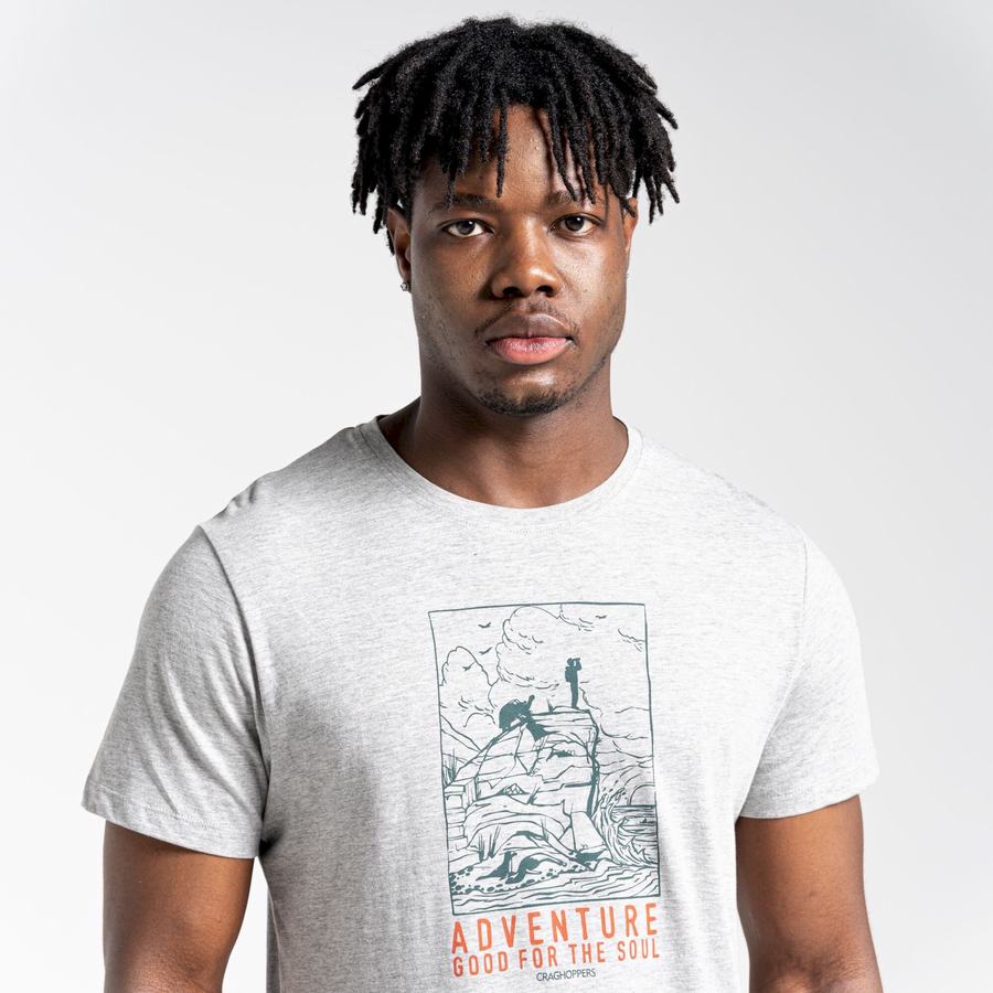 Men's Craghoppers Lugo Short Sleeved T-Shirts Grey | UZH5276UB