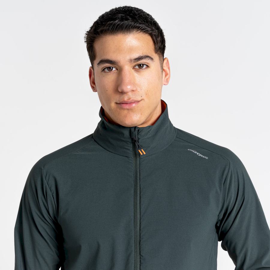 Men's Craghoppers NosiLife Active Jackets Green | FNN8321HA