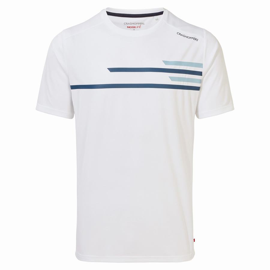 Men's Craghoppers NosiLife Pro Active Short Sleeved T-Shirts White | EJK7945DQ