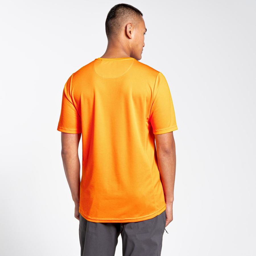 Men's Craghoppers NosiLife Pro Active Short Sleeved T-Shirts Orange | MDM5044XP