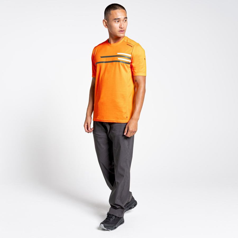Men's Craghoppers NosiLife Pro Active Short Sleeved T-Shirts Orange | MDM5044XP
