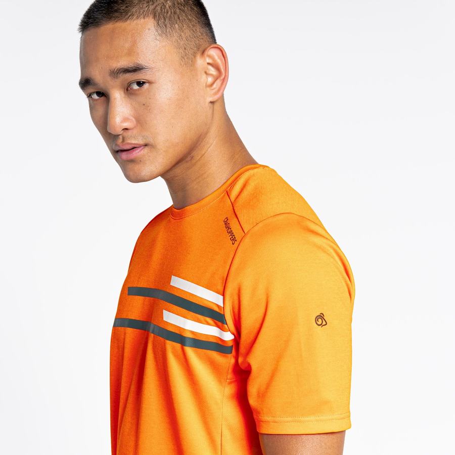 Men's Craghoppers NosiLife Pro Active Short Sleeved T-Shirts Orange | MDM5044XP