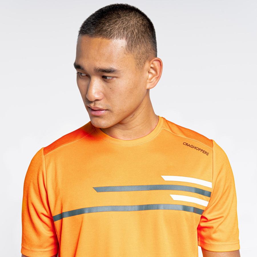 Men's Craghoppers NosiLife Pro Active Short Sleeved T-Shirts Orange | MDM5044XP