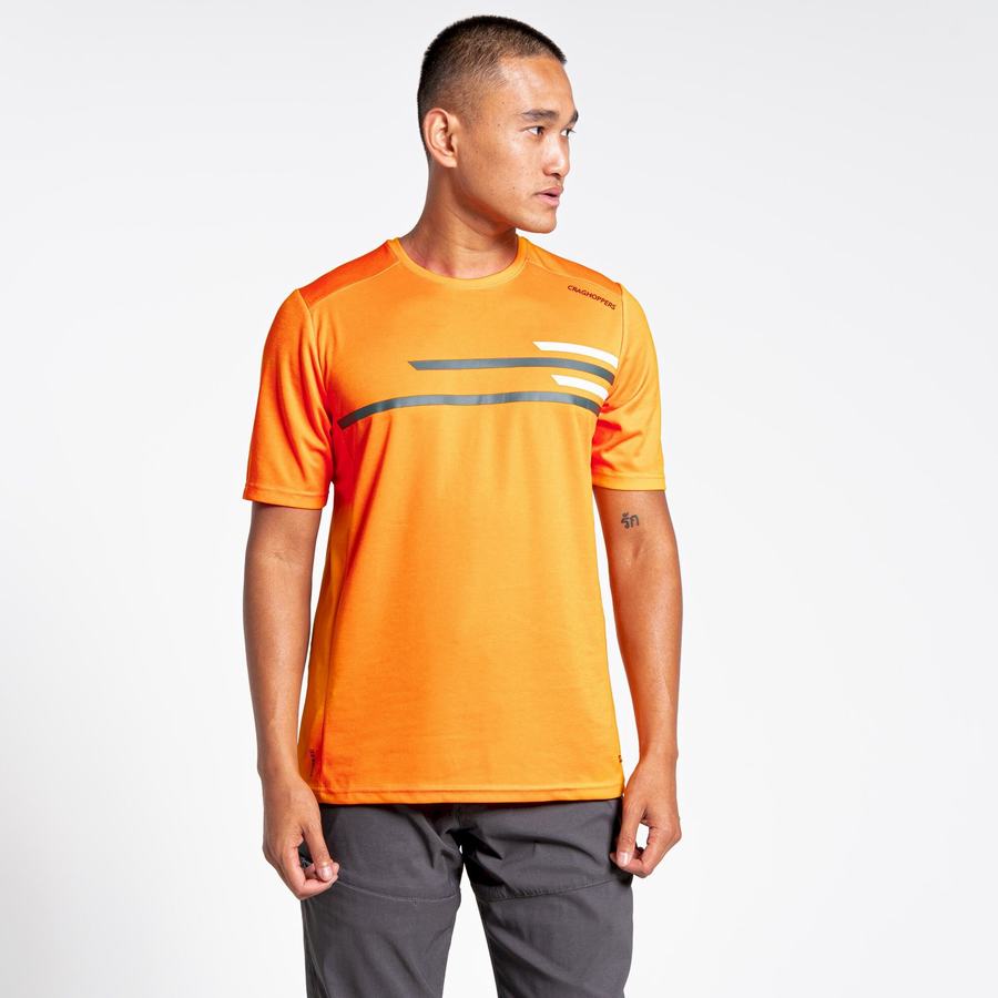 Men's Craghoppers NosiLife Pro Active Short Sleeved T-Shirts Orange | MDM5044XP