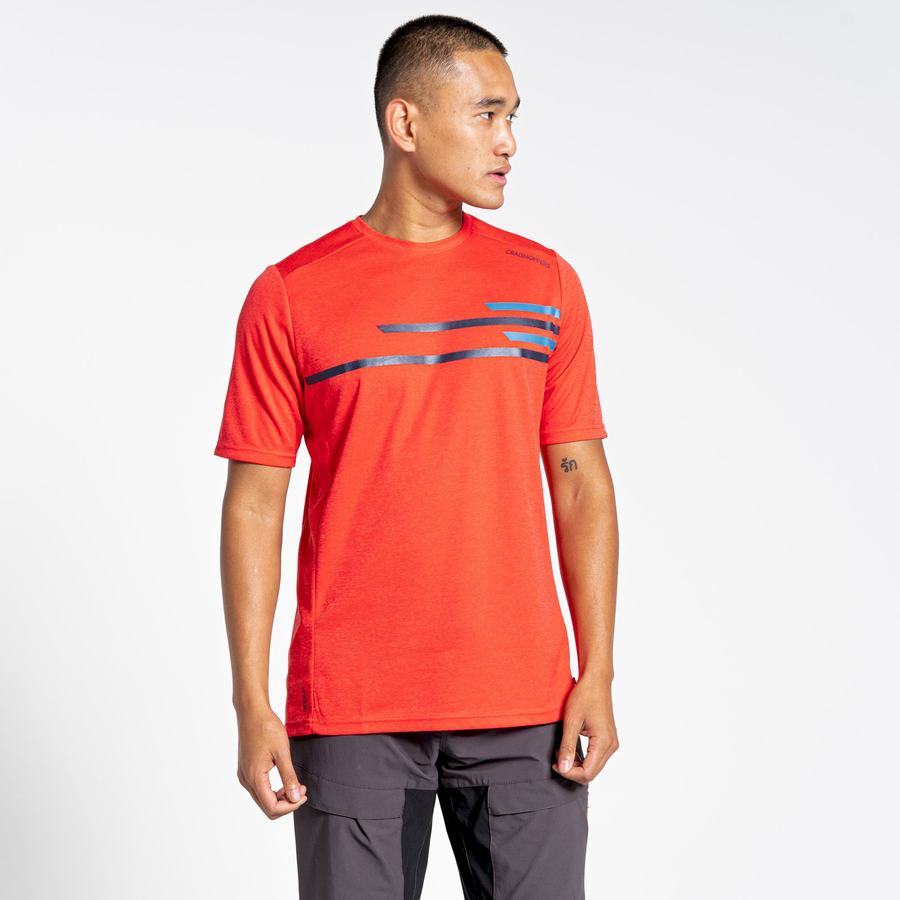 Men's Craghoppers NosiLife Pro Active Short Sleeved T-Shirts Orange Red | XFO3992AX