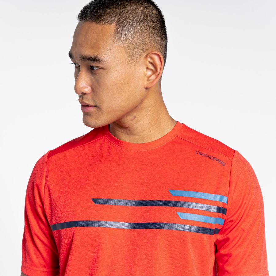 Men's Craghoppers NosiLife Pro Active Short Sleeved T-Shirts Orange Red | XFO3992AX