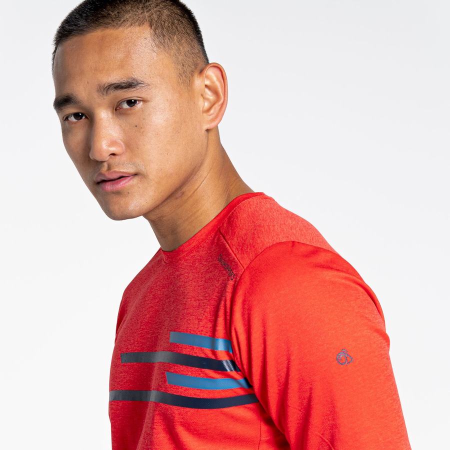 Men's Craghoppers NosiLife Pro Active Short Sleeved T-Shirts Orange Red | XFO3992AX