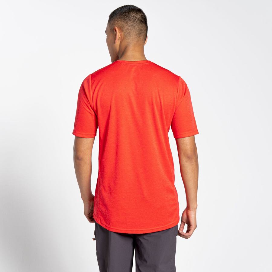 Men's Craghoppers NosiLife Pro Active Short Sleeved T-Shirts Orange Red | XFO3992AX