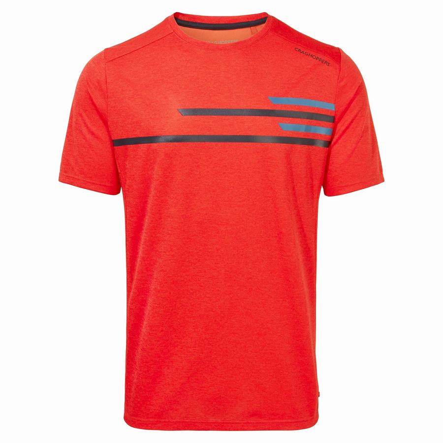 Men\'s Craghoppers NosiLife Pro Active Short Sleeved T-Shirts Orange Red | XFO3992AX
