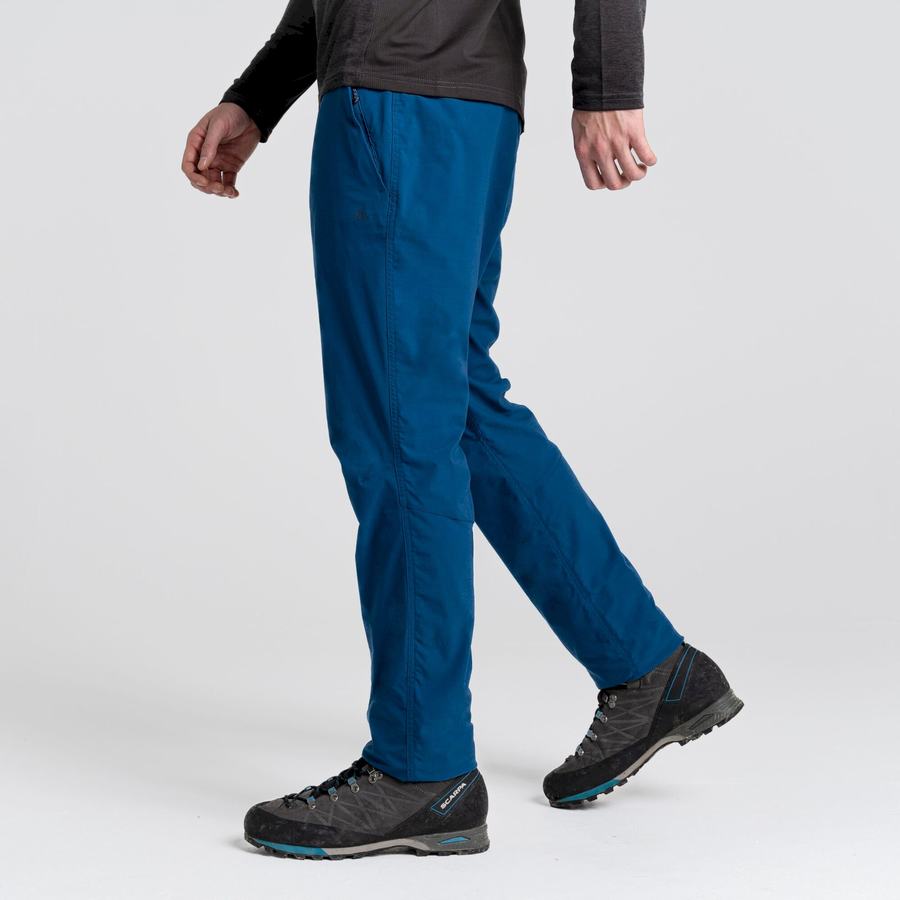 Men's Craghoppers NosiLife Pro Active Trousers Navy Blue | FHT890IN