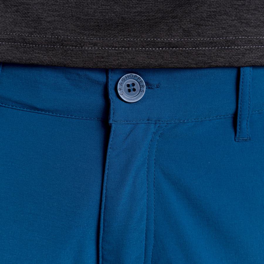 Men's Craghoppers NosiLife Pro Active Trousers Navy Blue | FHT890IN
