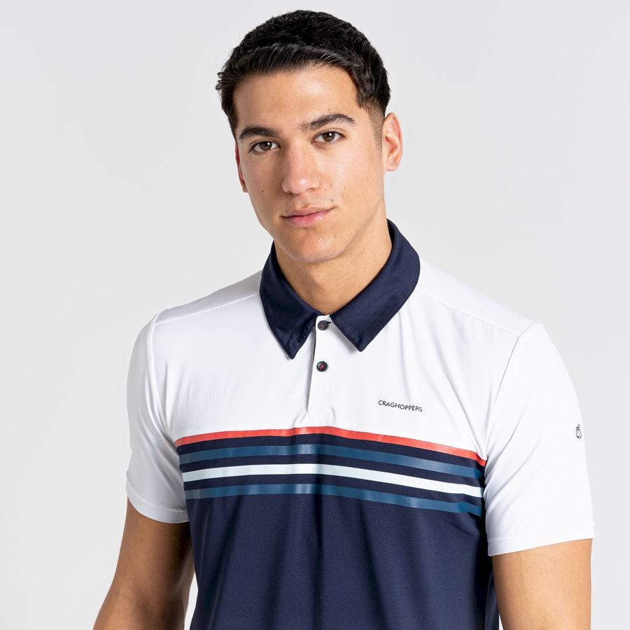 Men's Craghoppers NosiLife Pro Short Sleeved Polo T-Shirts White Blue Navy | JUZ1881BV