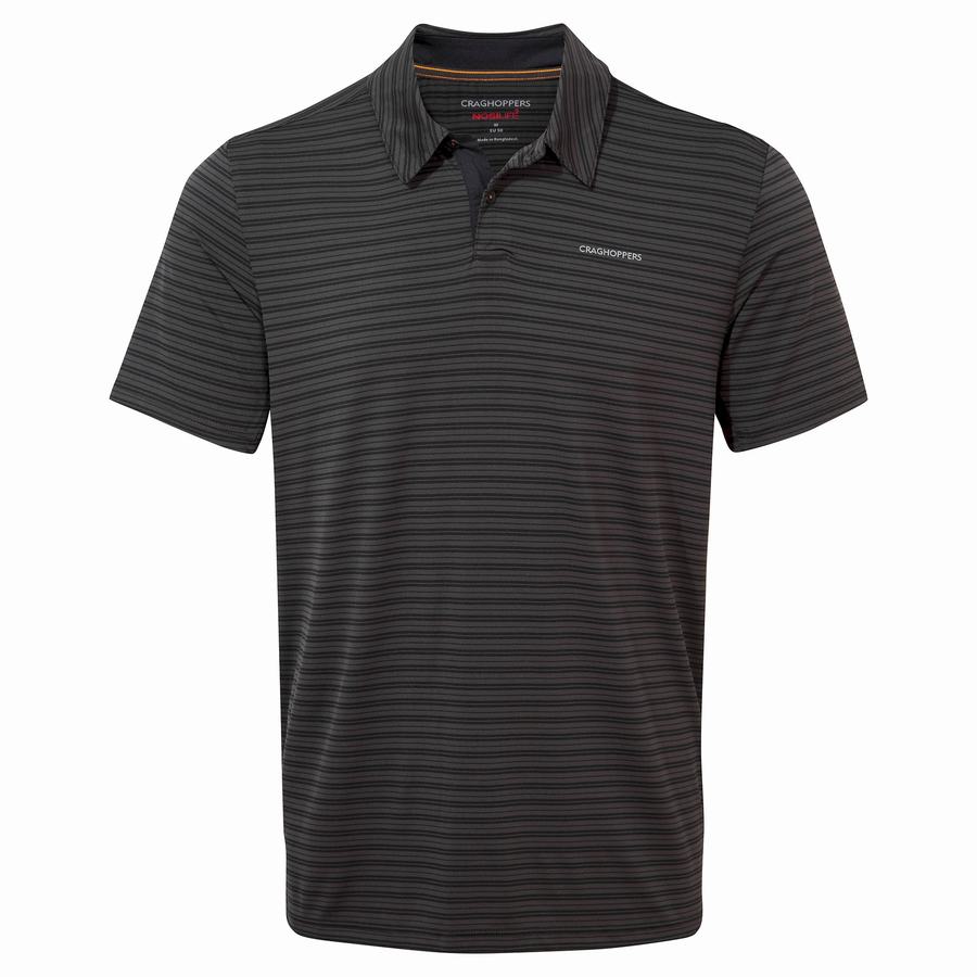 Men's Craghoppers NosiLife Pro Short Sleeved Polo T-Shirts Black Stripes | LCH8468HH
