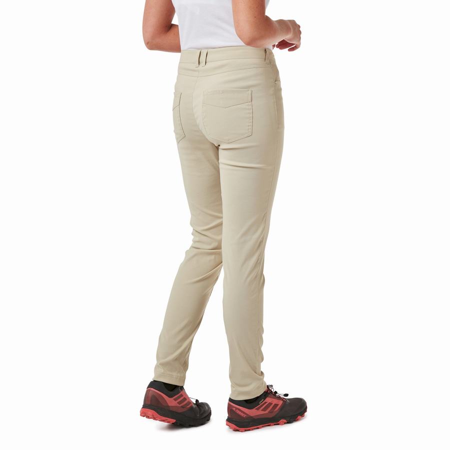 Women's Craghoppers Adventure Trousers Brown | XUS7781DF