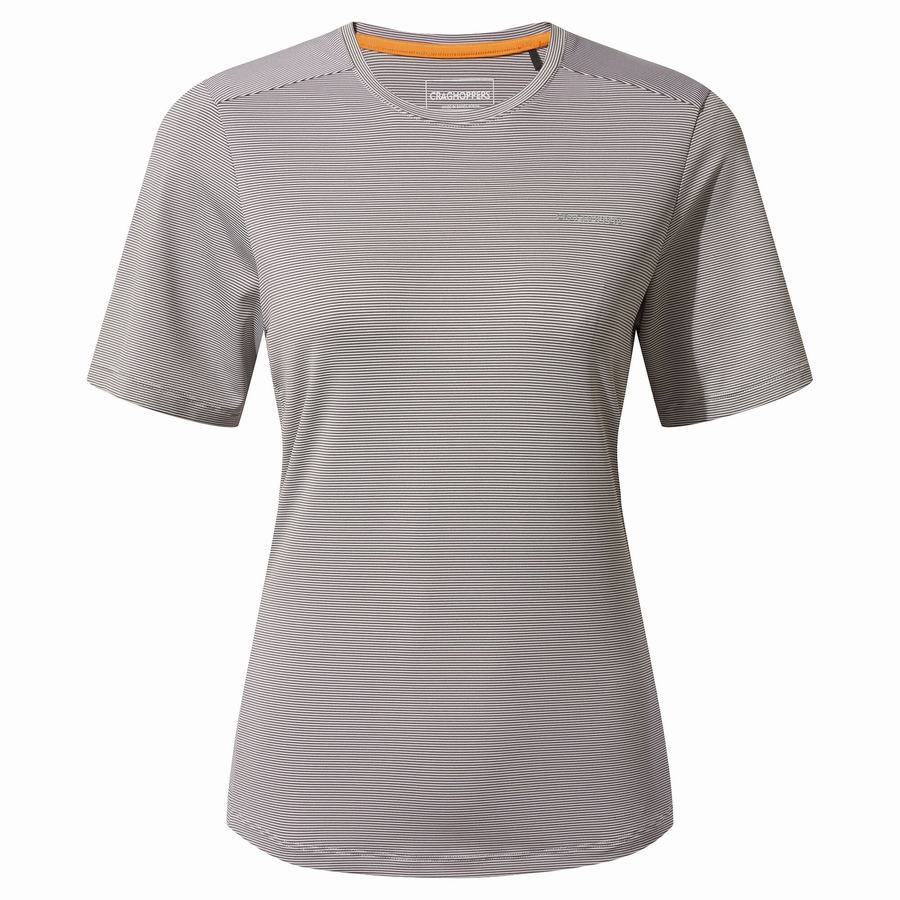 Women's Craghoppers Aliso Short Sleeved T-Shirts Grey | SLZ1455AL