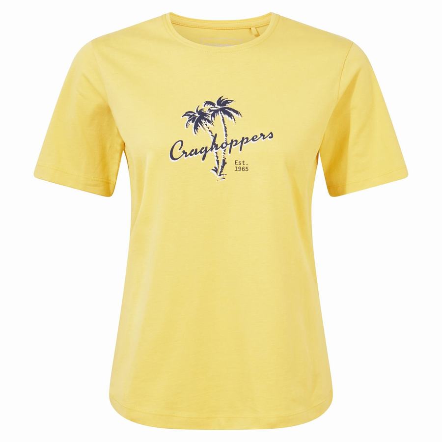 Women's Craghoppers Ally Short Sleeved T-Shirts Yellow | XOM6862LL