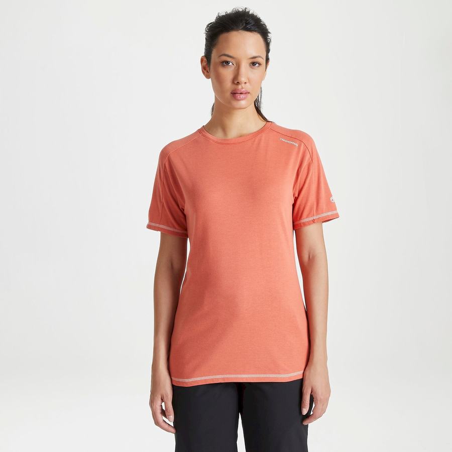 Women's Craghoppers Dynamic Short Sleeved Warm Ginger T-Shirts Orange | JWN2684HM