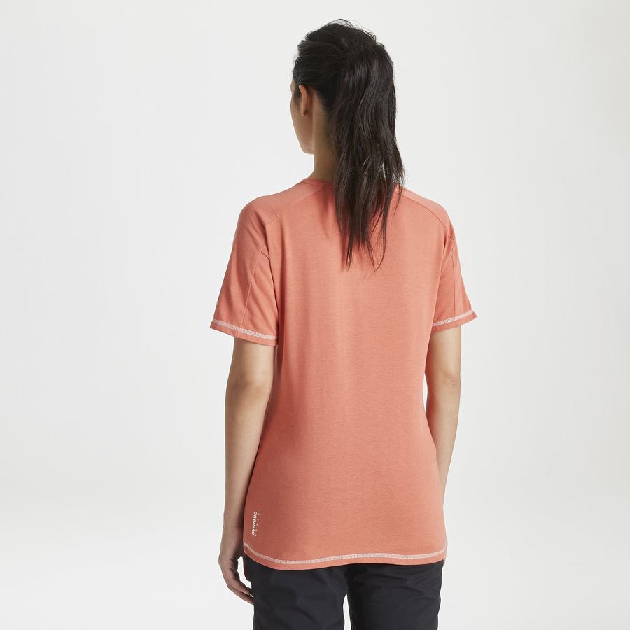 Women's Craghoppers Dynamic Short Sleeved Warm Ginger T-Shirts Orange | JWN2684HM