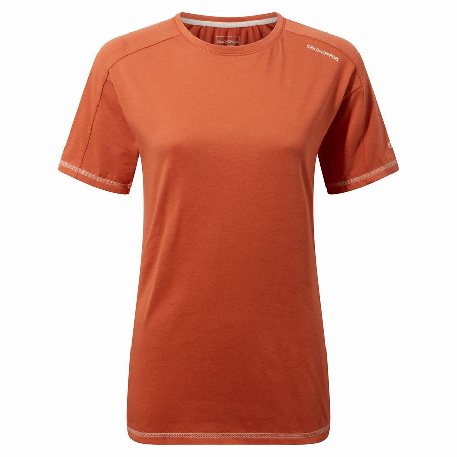 Women's Craghoppers Dynamic Short Sleeved Warm Ginger T-Shirts Orange | JWN2684HM