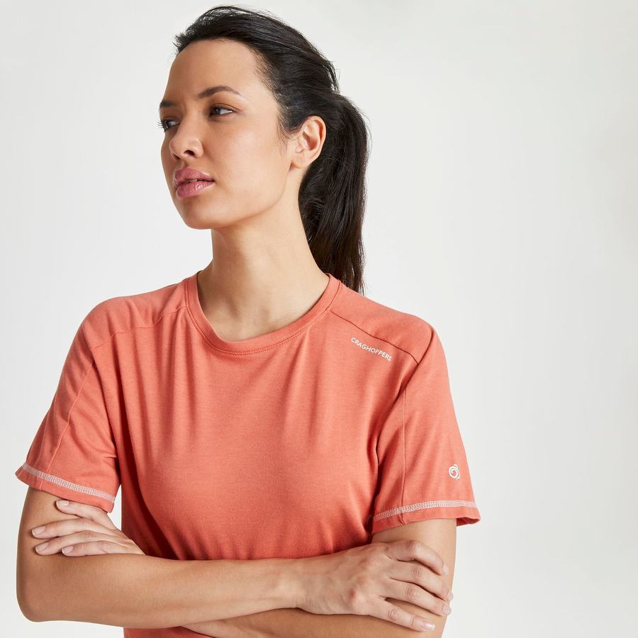 Women's Craghoppers Dynamic Short Sleeved Warm Ginger T-Shirts Orange | JWN2684HM