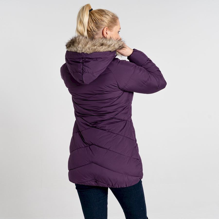 Women's Craghoppers Lisby Downlike Jackets Purple | EDM7077JM