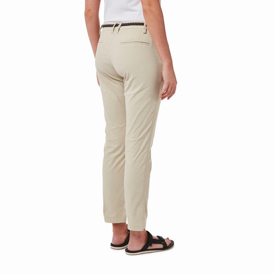 Women's Craghoppers NosiLife Briar Trousers Brown | DID7889IF