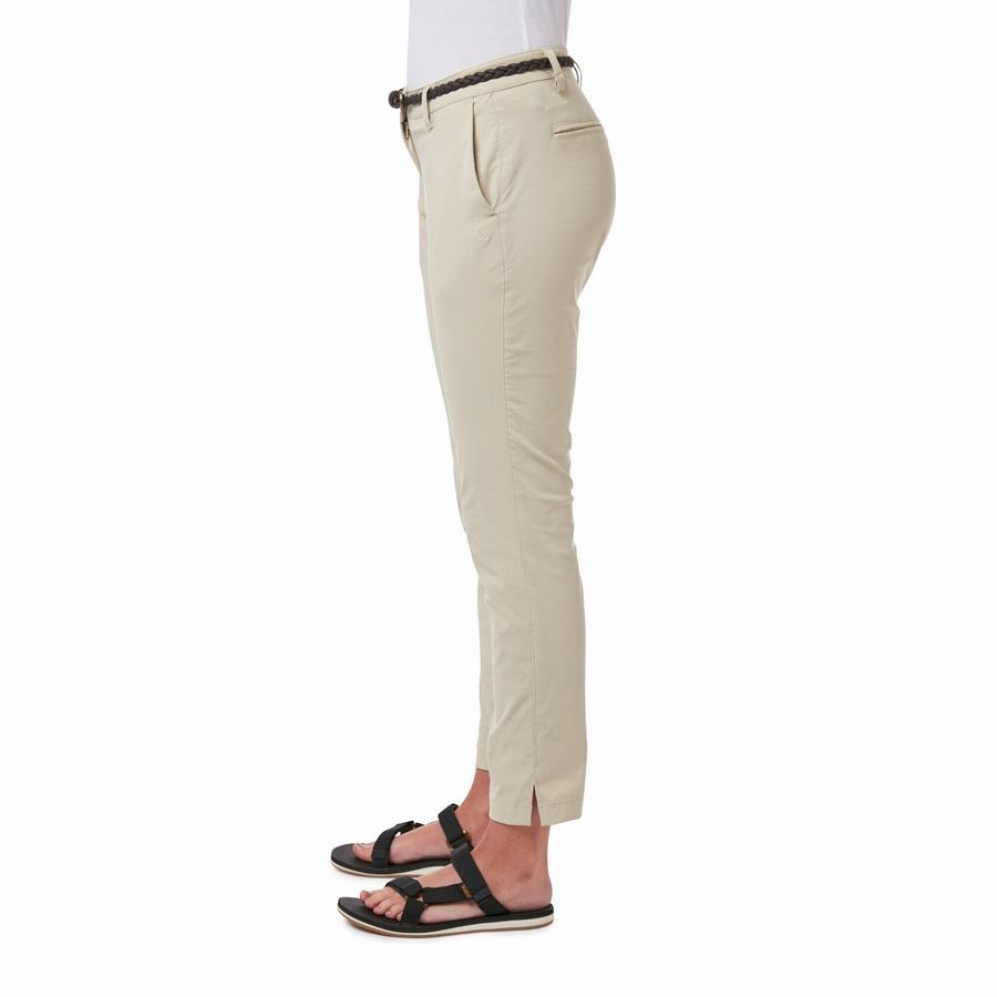 Women's Craghoppers NosiLife Briar Trousers Brown | DID7889IF