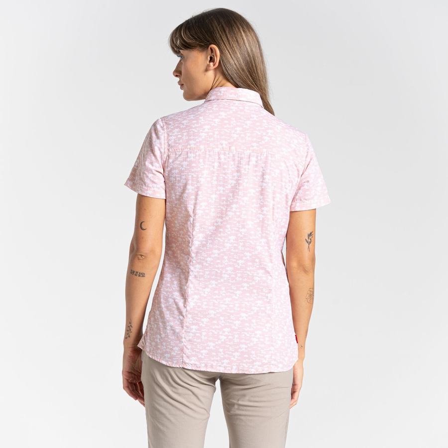 Women's Craghoppers NosiLife Tillia Short Sleeved Shirts Pink | YFW2996QS